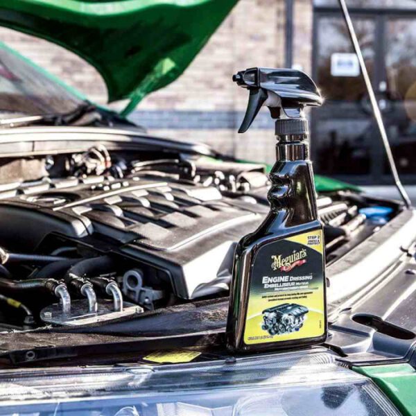 dressing compartiment motor